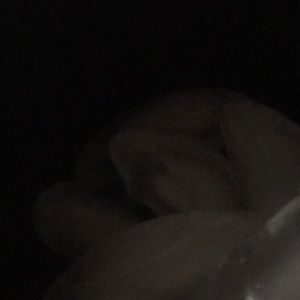 Meet your Posher, Kylie